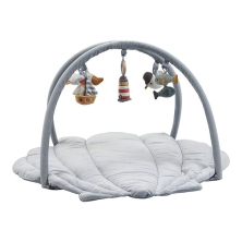 Playgyms/Activity Centres