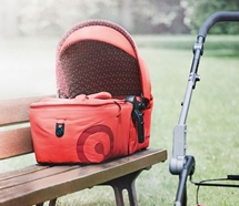 Concord Carrycots