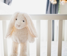 Prince Lionheart Nursery